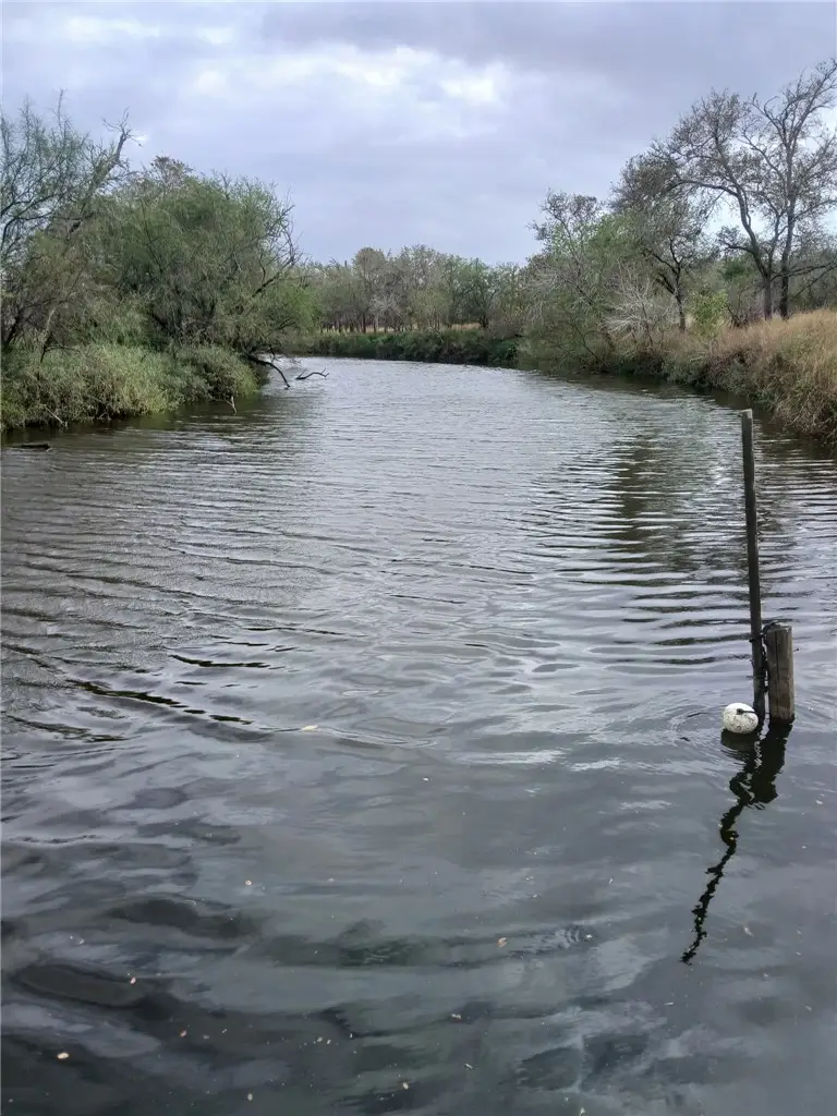 121 Whitetail, Woodsboro, TX 78393 - #3