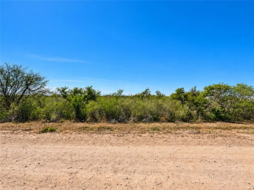 00 County Road 3082, Orange Grove, TX 78372 - #1