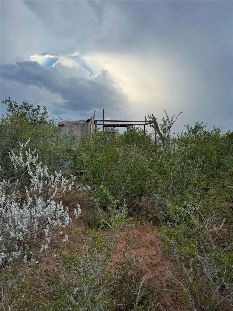 02 Cr 147, George West, TX 78022 - #1