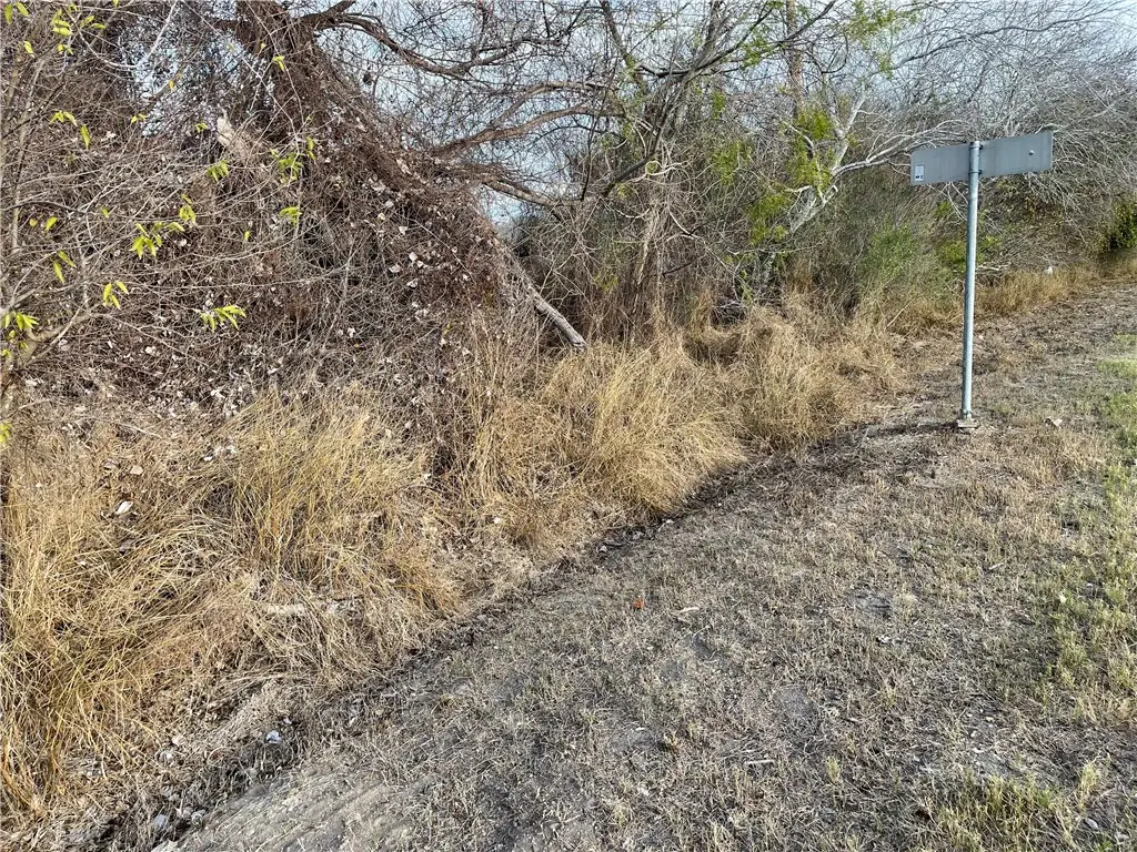 00 N Hwy 37 Access, Three Rivers, TX 78071 - #1