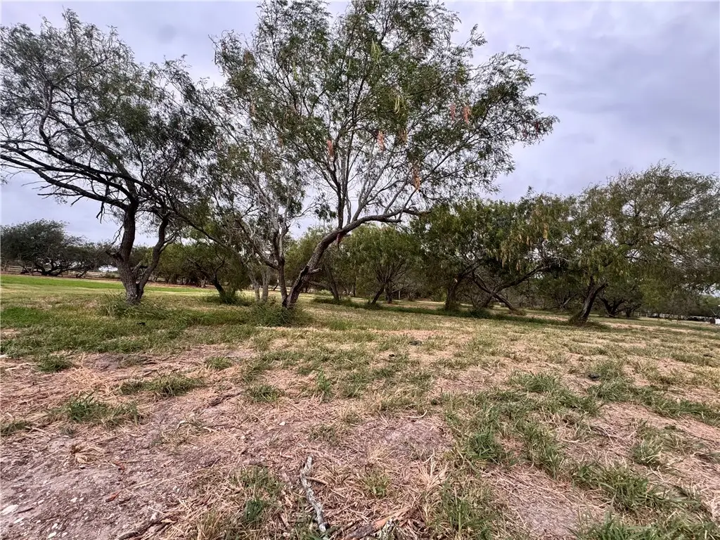 905 Santa Cruz Lane, Corpus Christi, TX 78415 - #1
