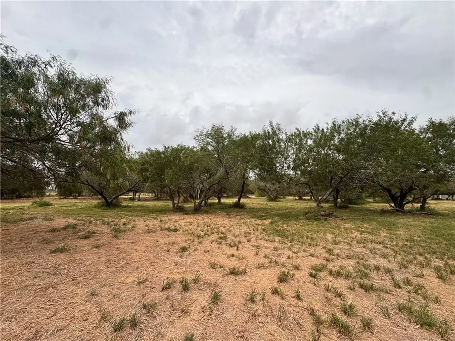 905 Santa Cruz Lane, Corpus Christi, TX 78415 - #2