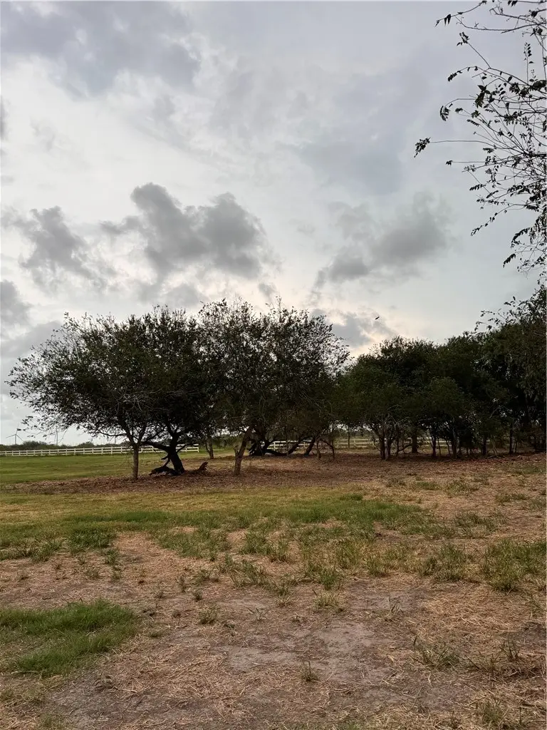905 Santa Cruz Lane, Corpus Christi, TX 78415 - #3