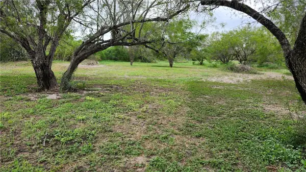 0000 County Road 3034, Orange Grove, TX 78372