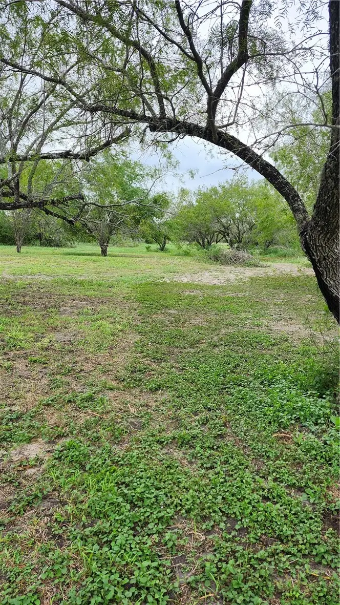 0000 County Road 3034, Orange Grove, TX 78372 - #2
