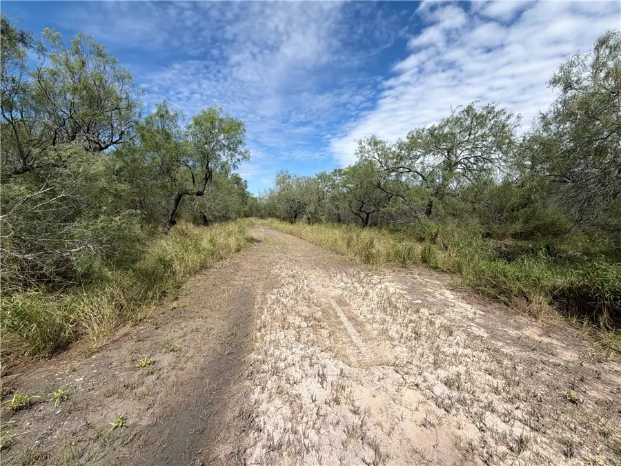 2530 N County Road 1024, Kingsville, TX 78363 - #2