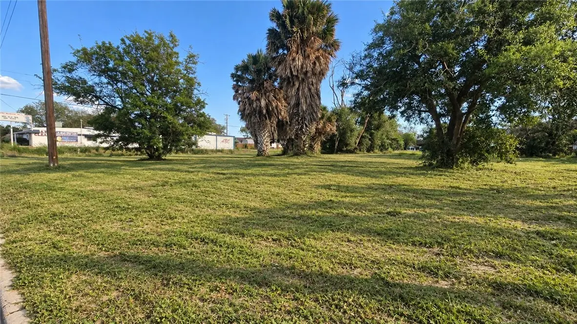323 E Richard Avenue, Kingsville, TX 78363 - #1