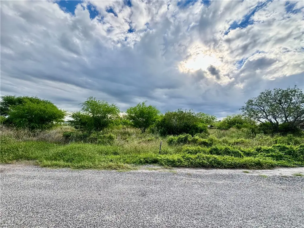 618 County Road 3061, Orange Grove, TX 78372 - #1