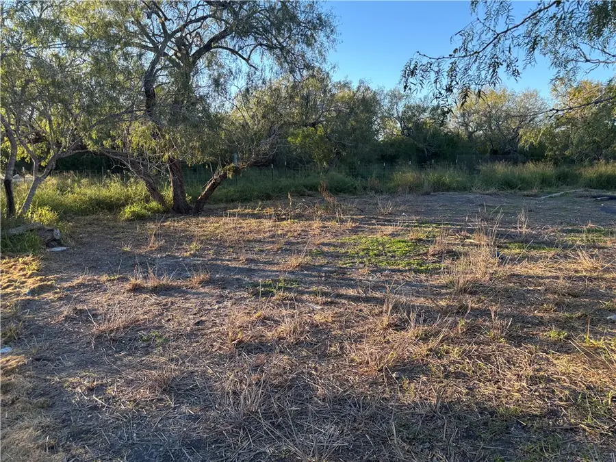 00 County Road Cr24d & Shannon, Sinton, TX 78387 - #2