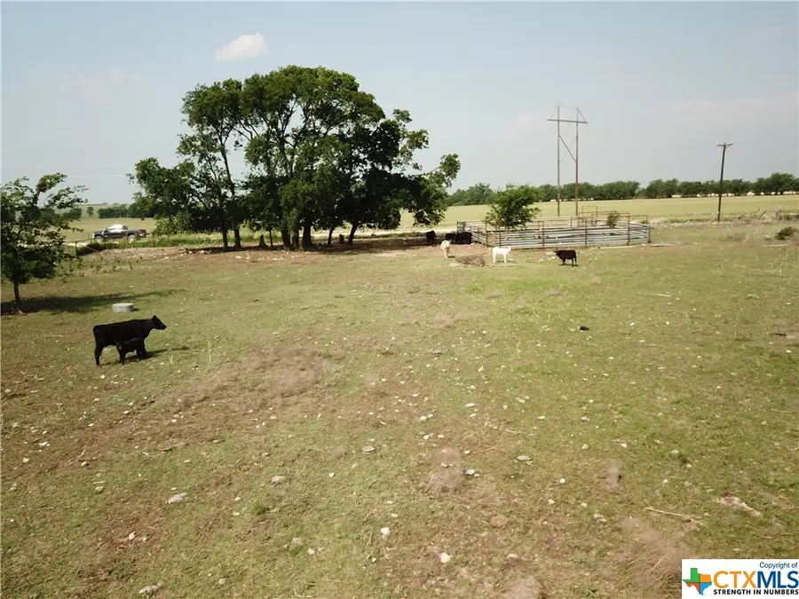 1230 County Road 248, Gatesville, TX 76528 - Image #3