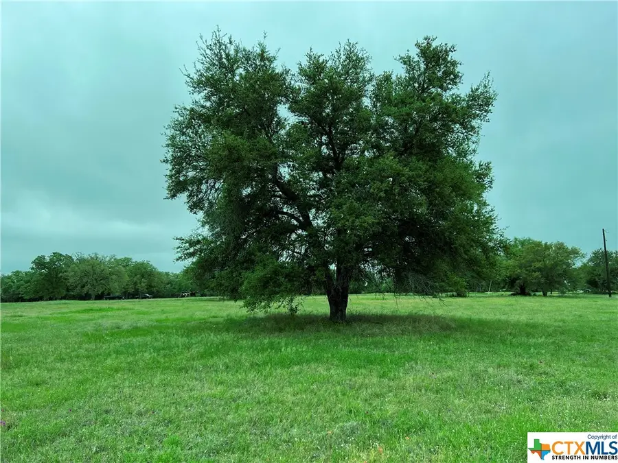 Lot 3 Pvt 1671, Hallettsville, TX 77964 - #2