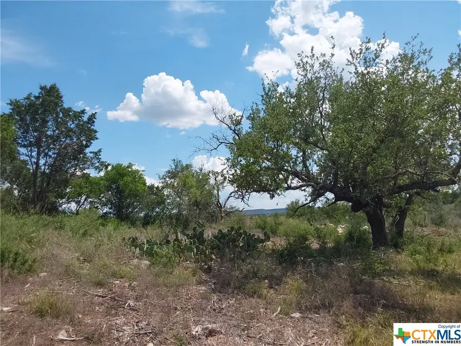 313 Eagle Basin Circle, Spicewood, TX 78669 - Image #3