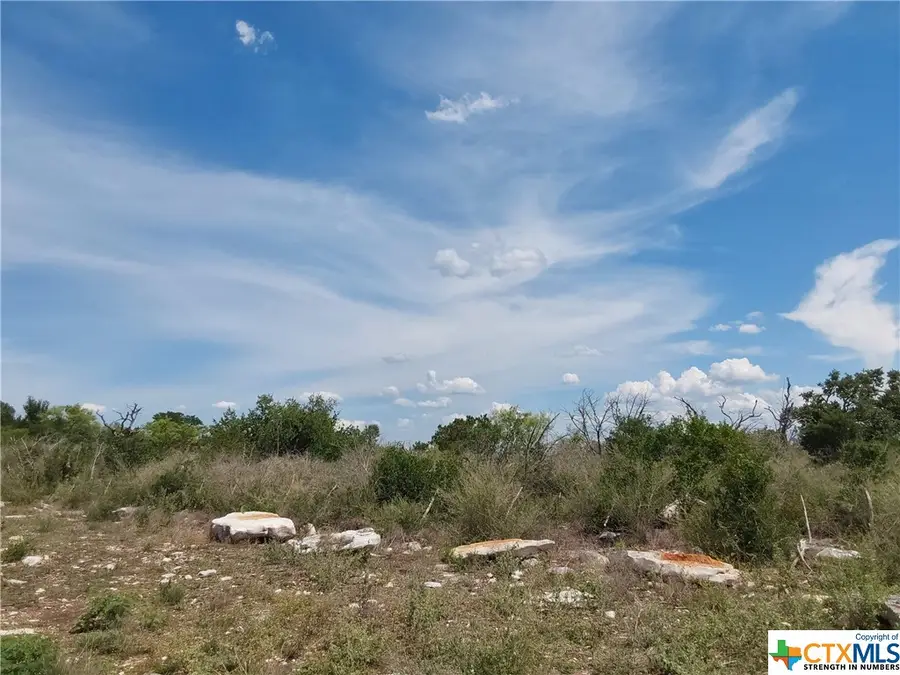 309 Eagle Basin Circle, Spicewood, TX 78669 - Image #3