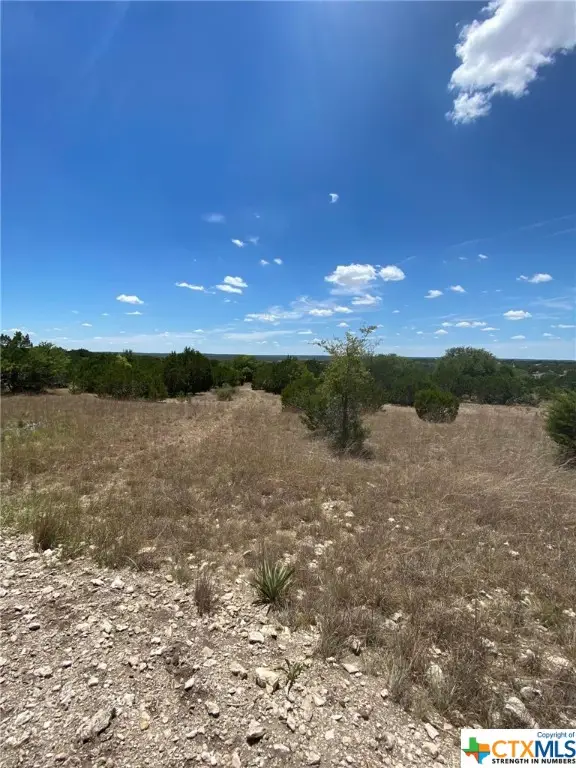 Lot 139 High Point Drive, Kempner, TX 76539 - Image #3