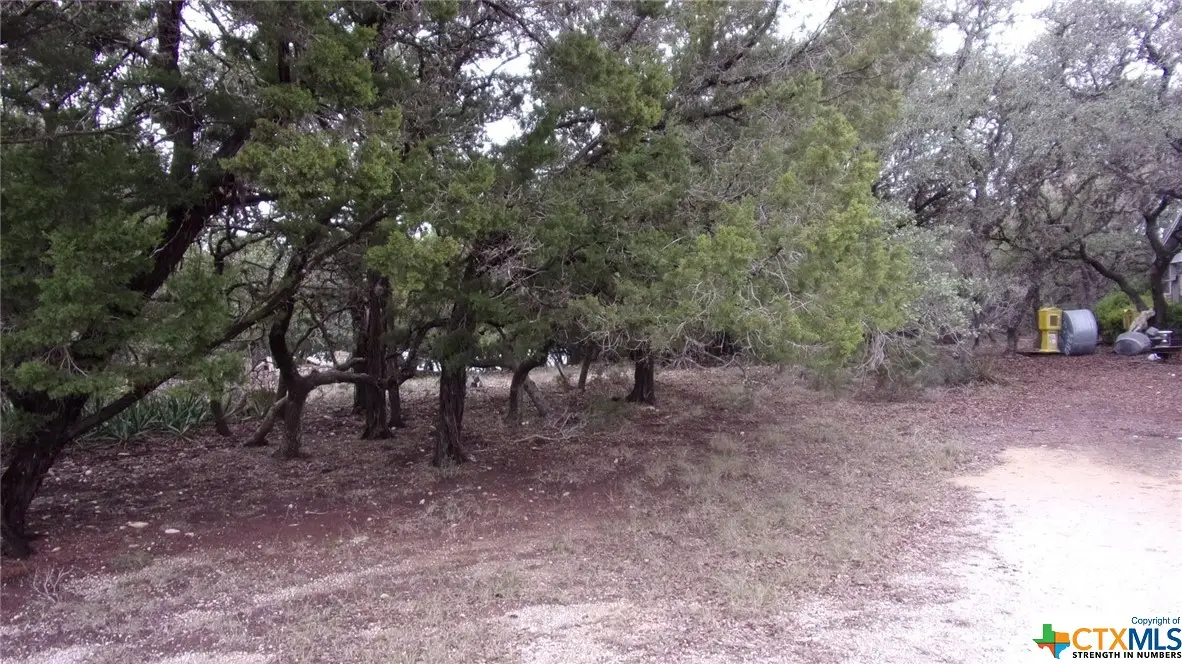 Lot 46 Mountain Wood, Canyon Lake, TX 78133 - #1