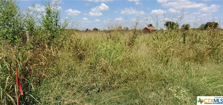 780 & 848 Bolton Road, Marion, TX 78124 - Image #3