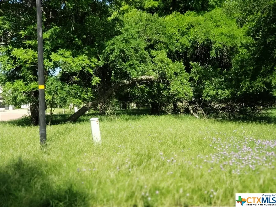 TBD Winners Circle Drive, Salado, TX 76571 - Image #2