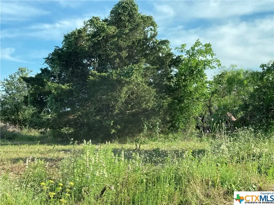 100 Bunny Run @ Garret Trail Road, Maxwell, TX 78656 - Image #2