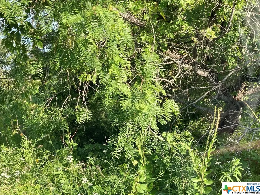 100 Bunny Run @ Garret Trail Road, Maxwell, TX 78656 - Image #3