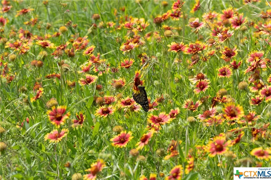 12283 Crows Ranch Rd, Salado, TX 76571 - Image #2