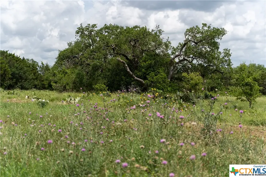 12283 Crows Ranch Rd, Salado, TX 76571 - Image #3