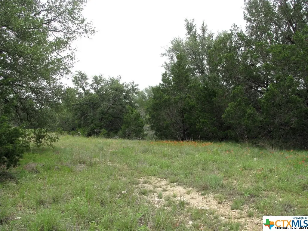 Lot 41 Phase 6 Pr42107, Evant, TX 76525 - Image #1