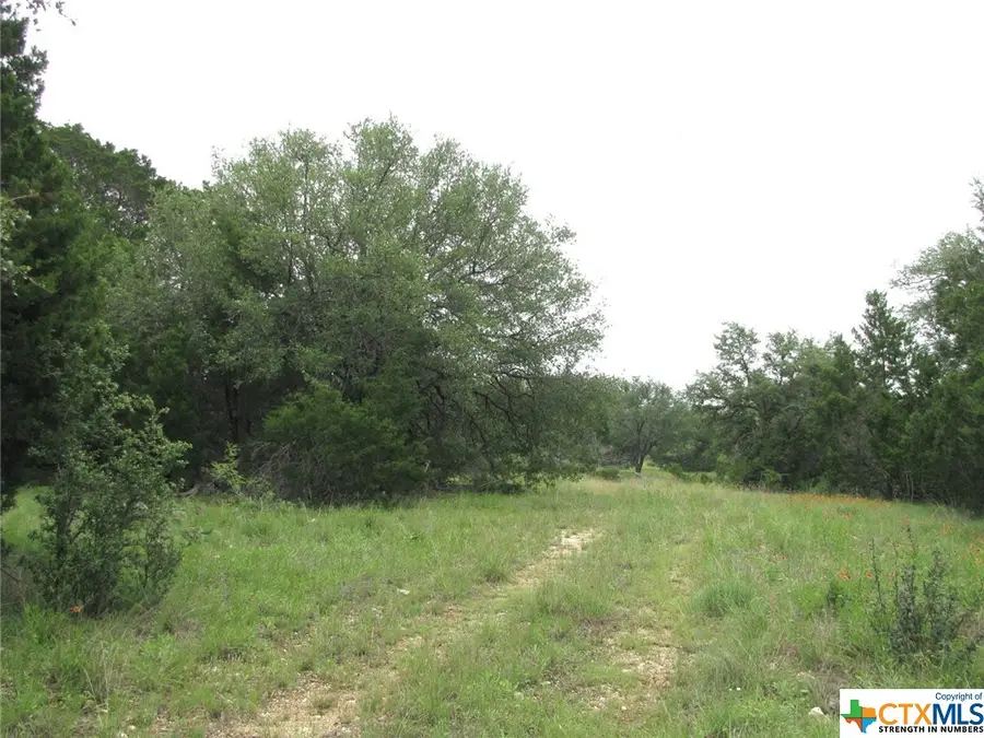 Lot 41 Phase 6 Pr42107, Evant, TX 76525 - Image #2