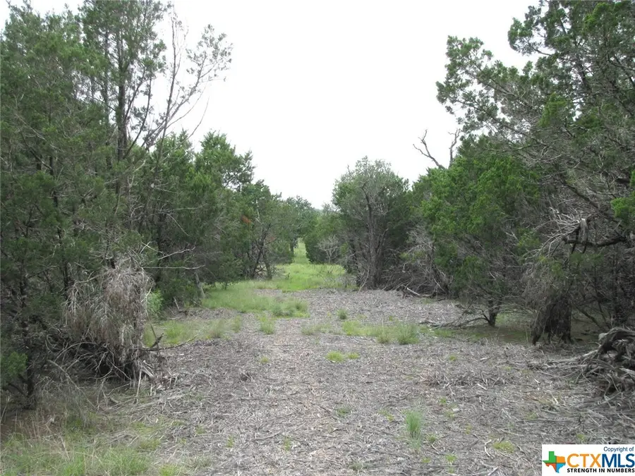 Lot 41 Phase 6 Pr42107, Evant, TX 76525 - Image #3