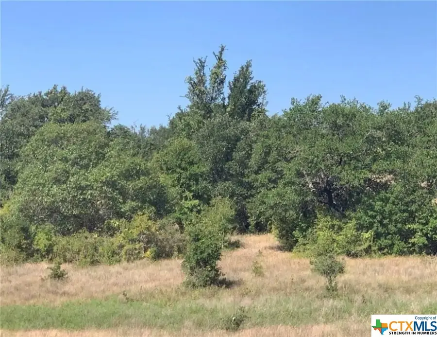 0 Crossfire Trail, Killeen, TX 76542 - Image #3