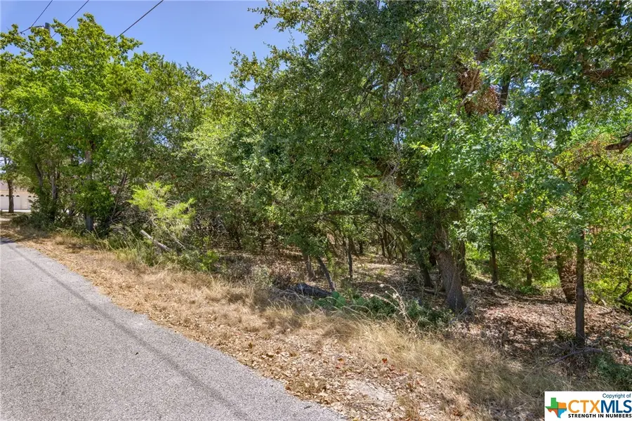 21465 Lakefront Drive, Lago Vista, TX 78645 - Image #3