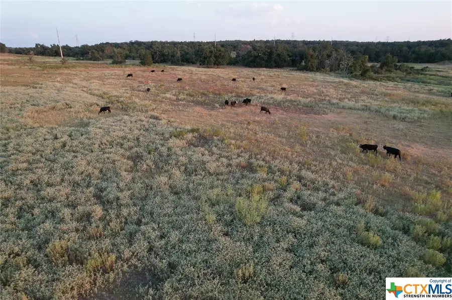 TBD County Road 449, Thorndale, TX 76577 - Image #3