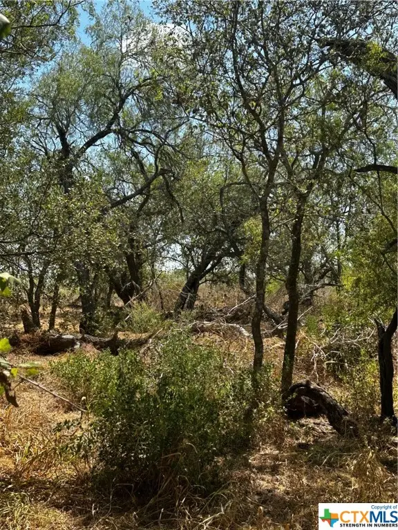 5958 County Road 405, Floresville, TX 78114 - Image #1