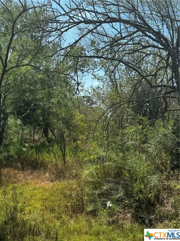 5958 County Road 405, Floresville, TX 78114 - Image #2