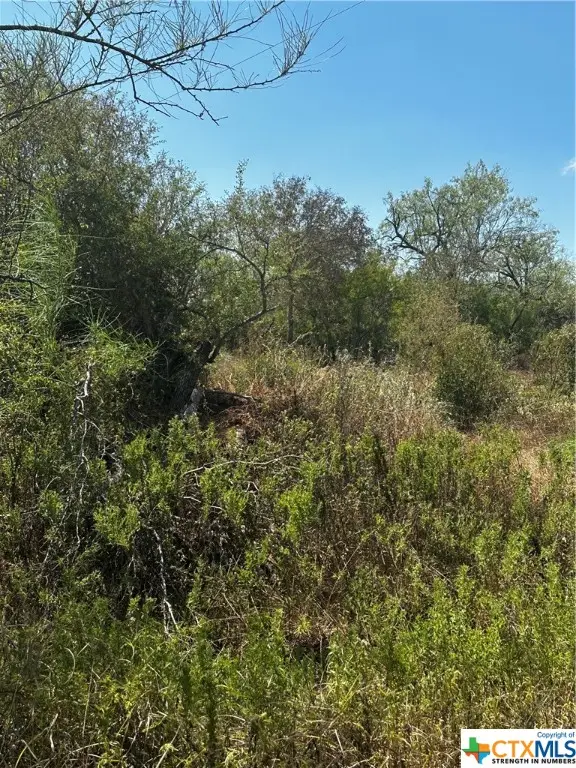 5958 County Road 405, Floresville, TX 78114 - Image #3