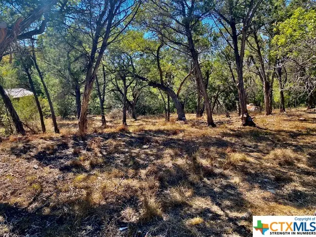 0 Rockwood, Wimberley, TX 78676 - #2