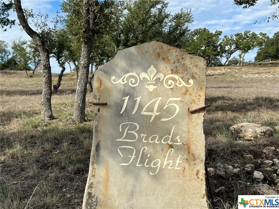 1145 Brads Flight, Canyon Lake, TX 78133 - Image #3