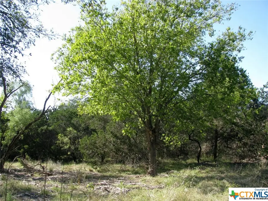 Lot 14 Phase 3 Private Road 42112, Evant, TX 76525 - Image #2