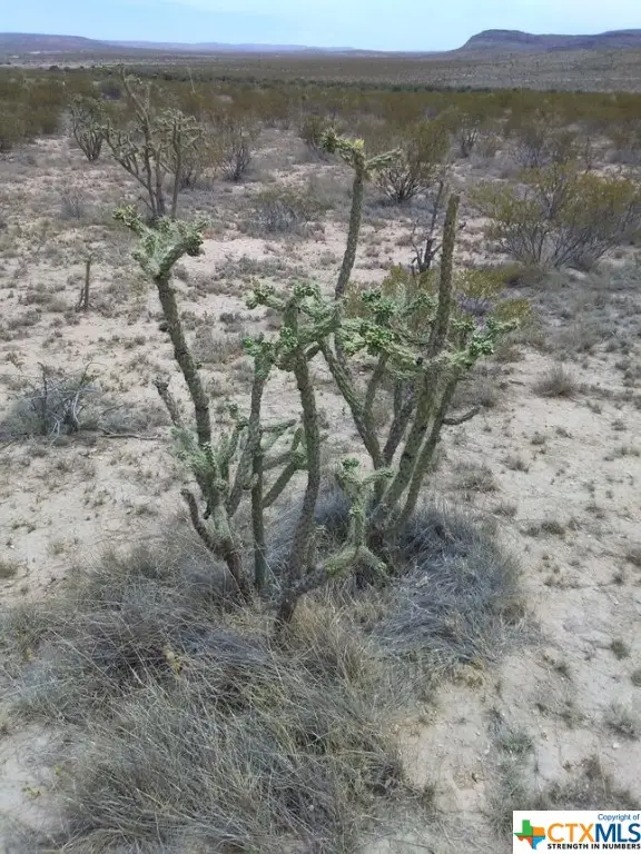 TBD Goat Way Road, Sierra Blanca, TX 79851 - Image #2