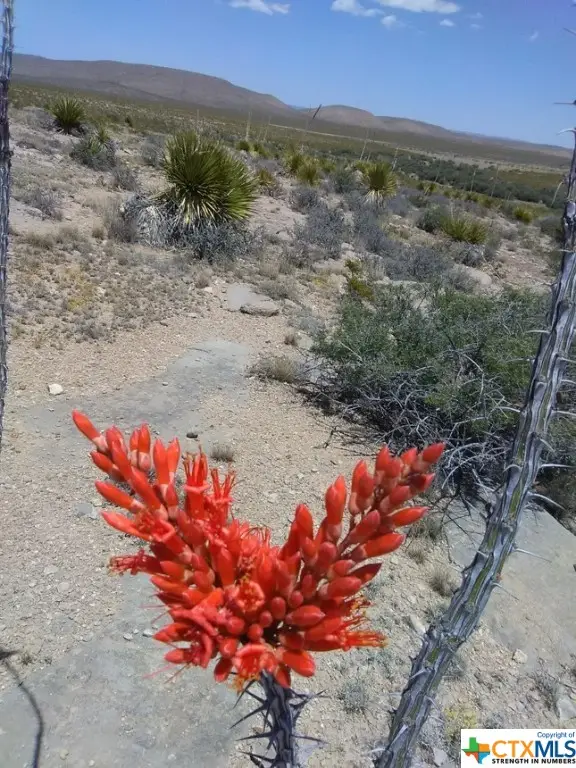 TBD Goat Way Road, Sierra Blanca, TX 79851 - Image #3