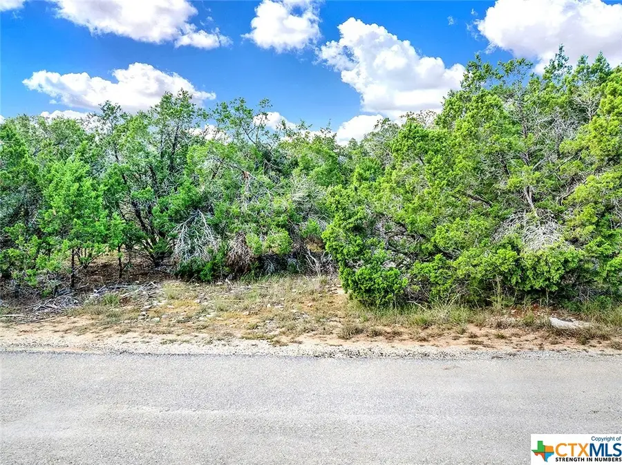 32 Persimmon Drive, Wimberley, TX 78676 - Image #3