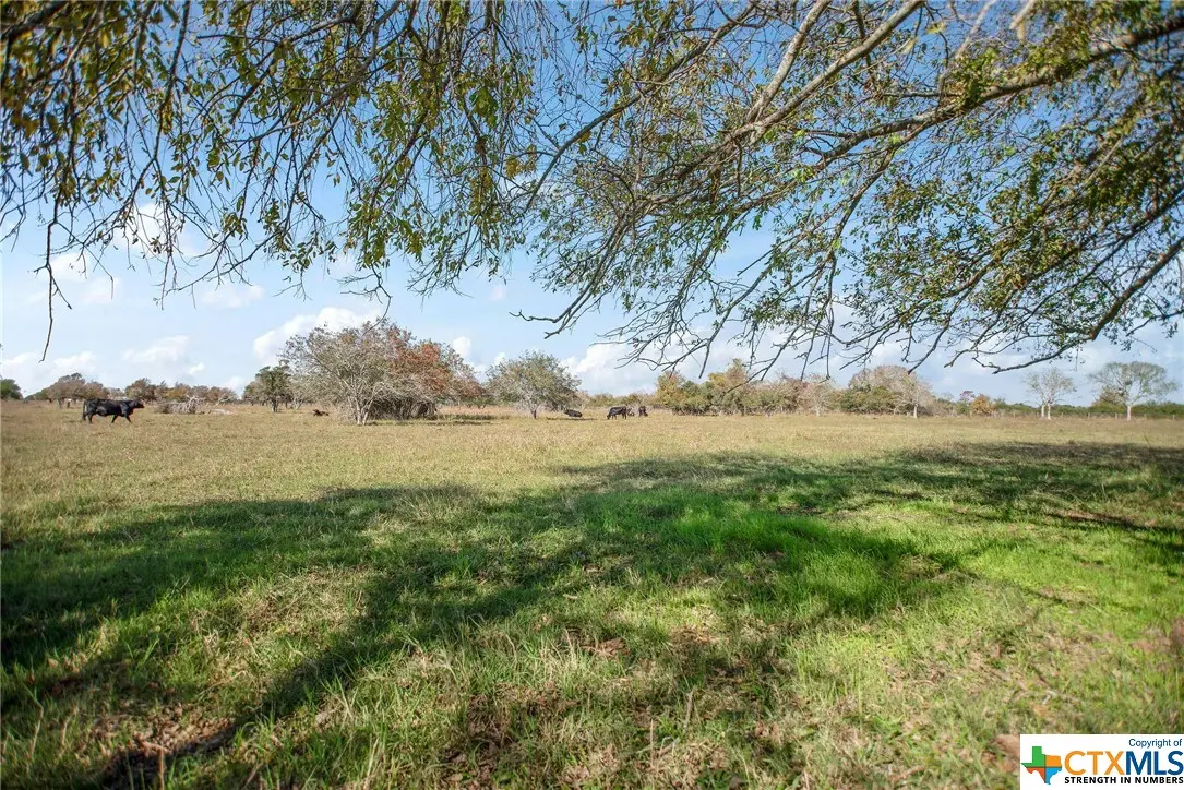 0 County Road 429, Lolita, TX 77971 - Image #1