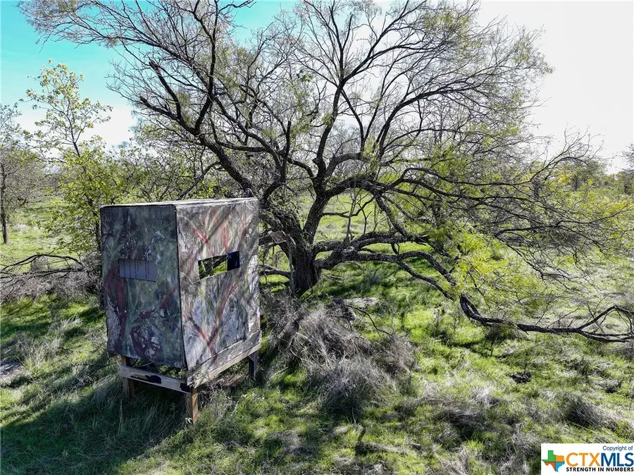 TBD Prairie Dell Road, Salado, TX 76571 - Image #3