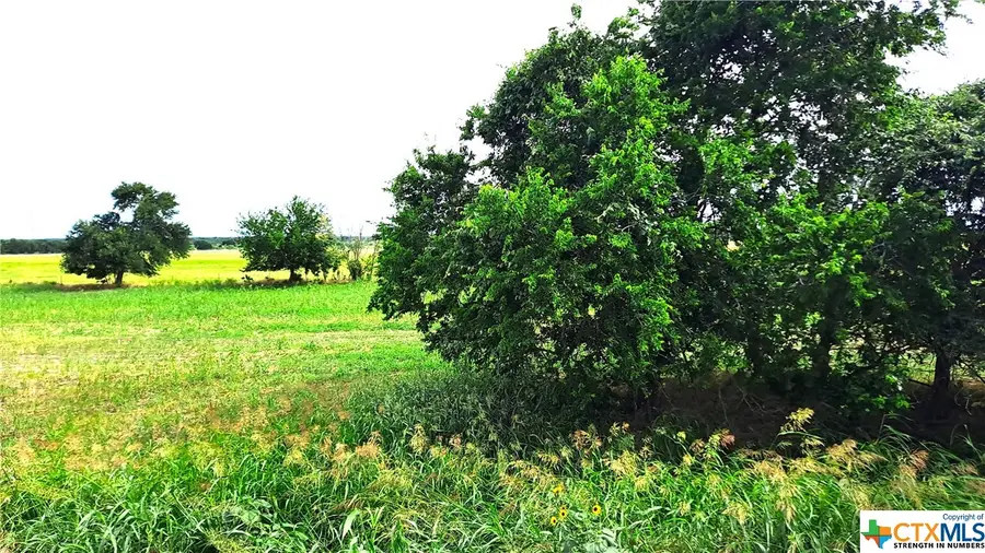 Tract 3 County Road 432, Thorndale, TX 76567 - Image #2