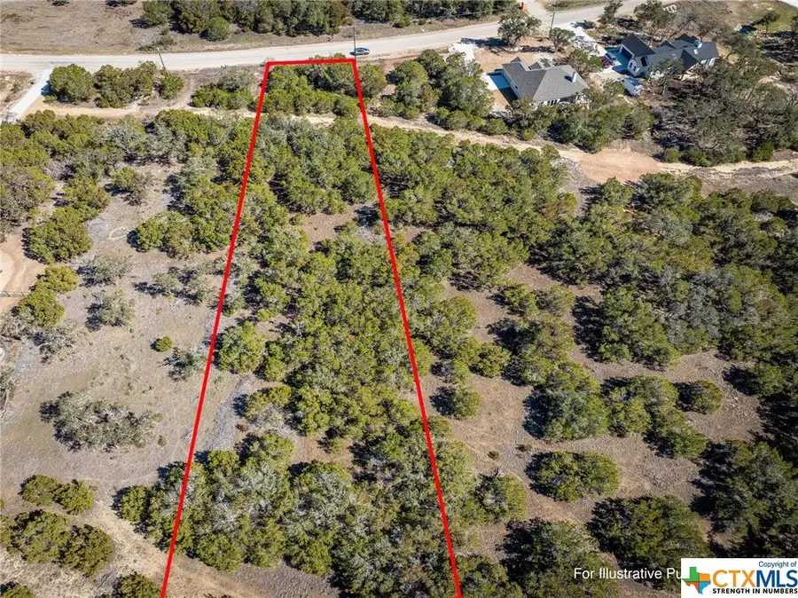 234 Serenity Pass, Spring Branch, TX 78070 - #2