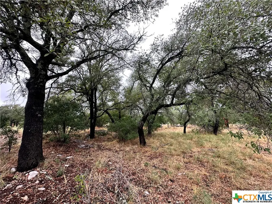 820 Mountain Dew, Horseshoe Bay, TX 78657 - Image #2