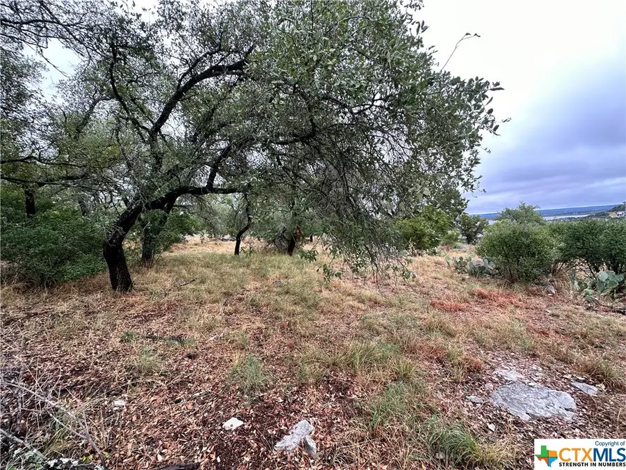 820 Mountain Dew, Horseshoe Bay, TX 78657 - Image #3