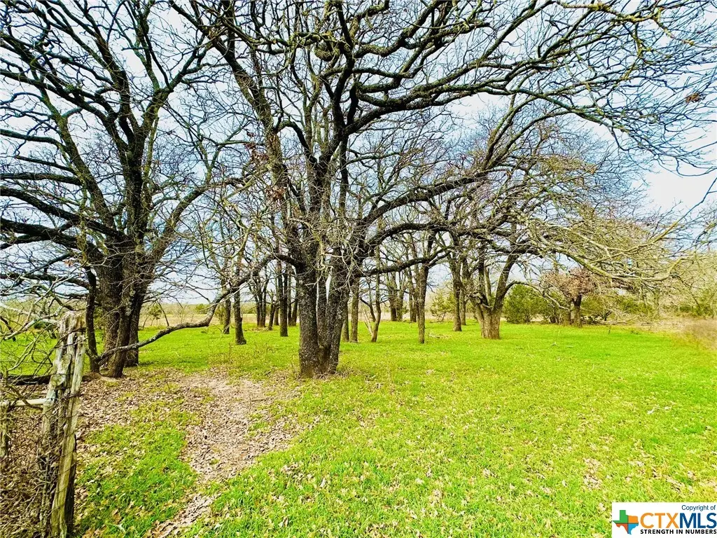 TBD 2 County Rd 107, Gatesville, TX 76528 - Image #1