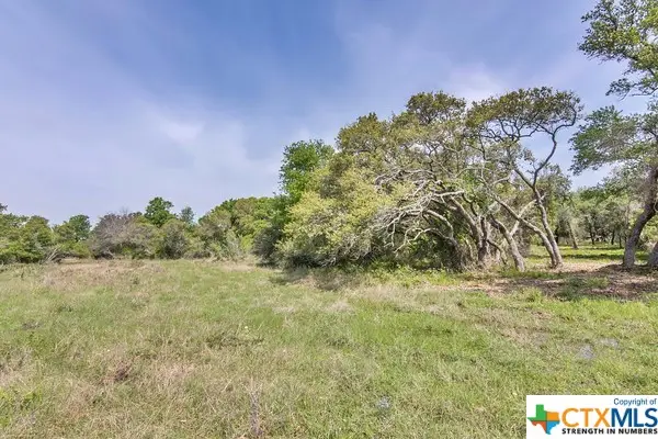 Tract 2 Fm 530, Edna, TX 77957 - Image #3