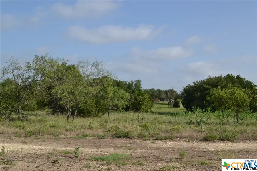 Block 2, Lot 1 and Lot 2 Cr 3152, Kempner, TX 76539 - Image #2