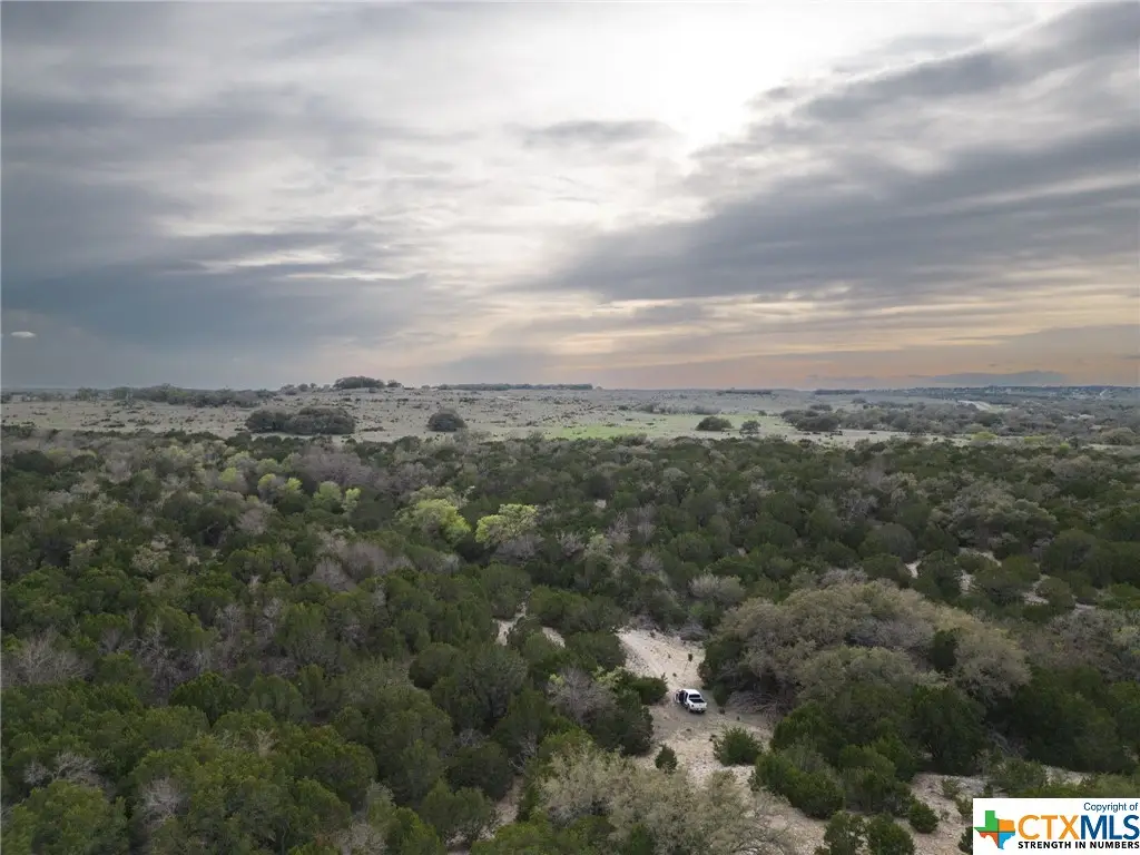 50.44 Acres County Road 3100, Kempner, TX 76539 - #1